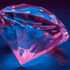 untitled design (19)