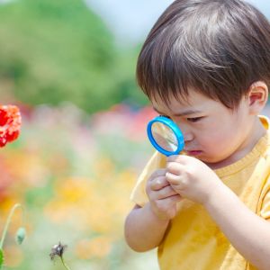 untitled design (26)